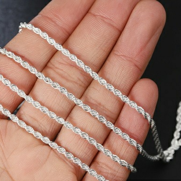 Silver Plated Fried Dough Twist Chain Necklace - Picture 4 of 7